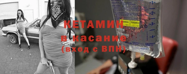 шишки Пересвет