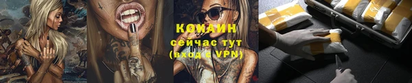 шишки Пересвет
