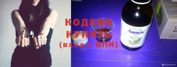 шишки Пересвет