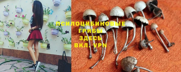 кокс Пестово