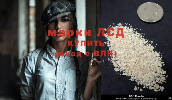 шишки Пересвет