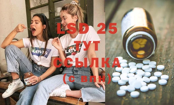 шишки Пересвет