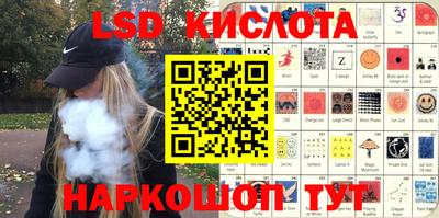 молекула духа Кингисепп