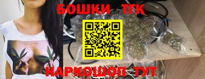молекула духа Кингисепп