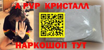 молекула духа Кингисепп
