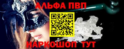 молекула духа Кингисепп