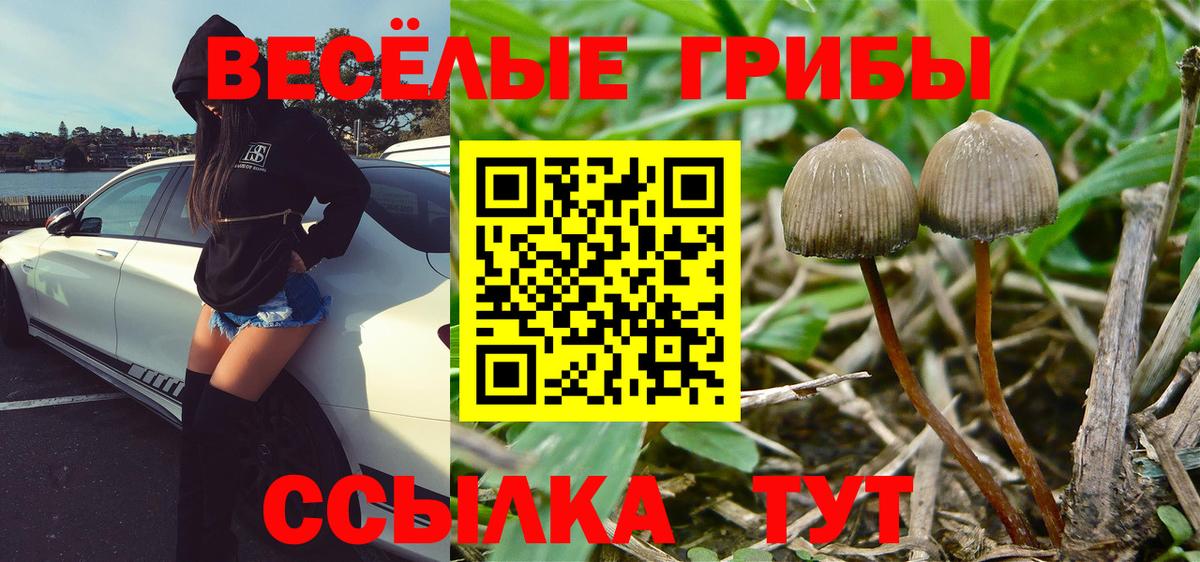 Реж  Галлюциногенные грибы Magic Shrooms  цена наркотик  Вход с VPN 